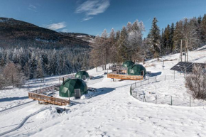 BUNNY GLAMP Korbielow